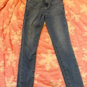 American Eagle Outfitters Classic Blue Skinny Jeans